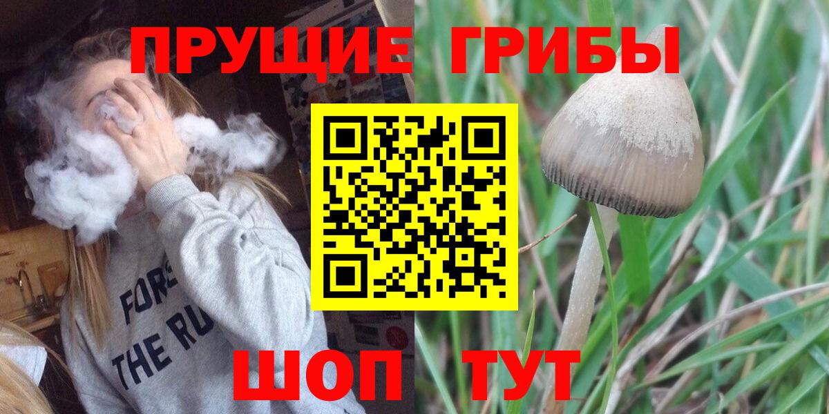 Кингисепп  Псилоцибиновые грибы GOLDEN TEACHER  Вход с VPN 