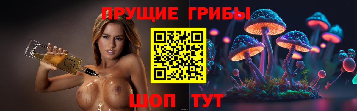 Галлюциногенные грибы мухоморы Кингисепп
